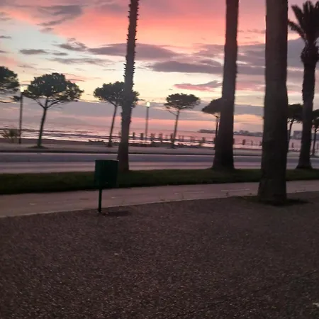 Juri 2014 Vlorë